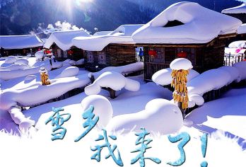黑龙江牡丹江中国雪乡一日游【班车惠民特卖|半自由行|单车费】【无强迫消费，无购物。半自由行。自己选择喜欢的住所和餐食。雪乡散团，可以自由玩耍。】