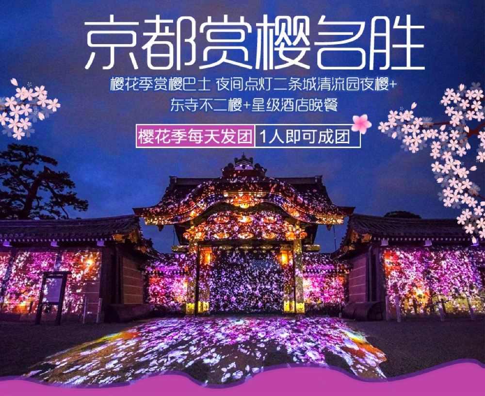 京都二条城 东寺半日游 清流园夜樱不二樱星级酒店晚餐樱花季限定夜间点灯 夜樱圣地 1人成团 线路推荐 携程玩乐
