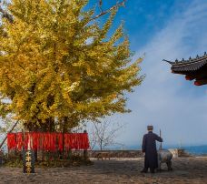 白兆山李白文化旅游区-安陆-C-IMAGE