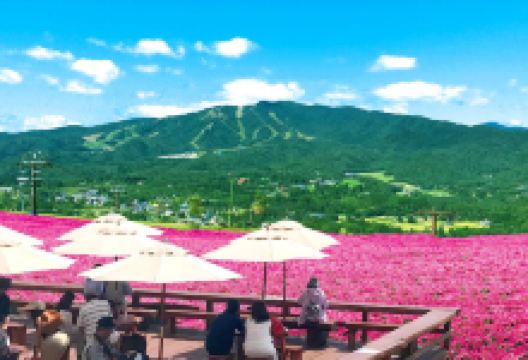 蛭野高原景点图片