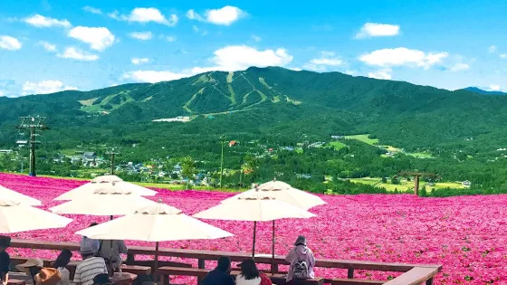 蛭野高原