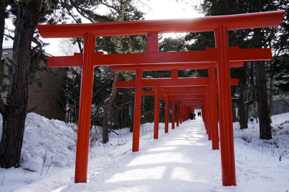 日本北海道札幌北海道神宫 伏见稻荷神社 白色恋人公园一日游 穿着和服游北海道 臻享包车游 线路推荐 携程玩乐