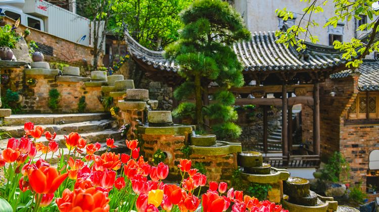 5-Day Huangshan Scenic Area+ Hongcun Village+Wuyuan Huangling+Qiyunshan Mountain Ecological And Cultural Tourism Zone