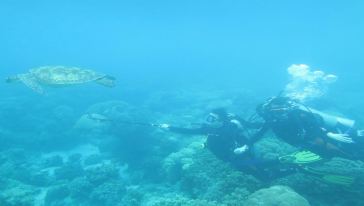 【携程攻略】杜马盖地菲律宾杜马盖地苏米龙岛