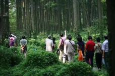 宝应湖国家湿地公园-宝应-C-IMAGE