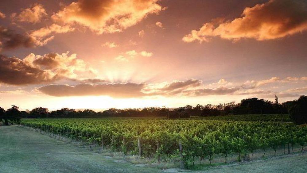 西澳大利亚天鹅河谷+费里曼特尔一日游【中文