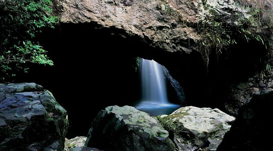 Full Day Springbrook National Park And Gold Coast Luxury Tour From