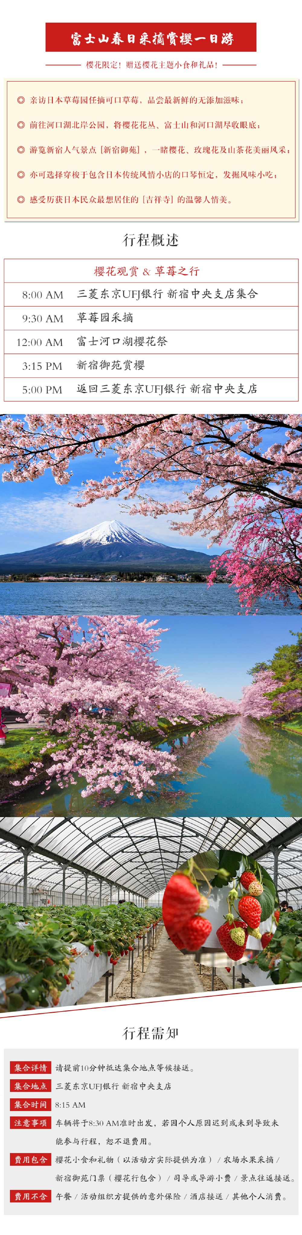 东京 富士山 河口湖一日游 多套餐可选 中 英 日导游可选 线路推荐 携程玩乐