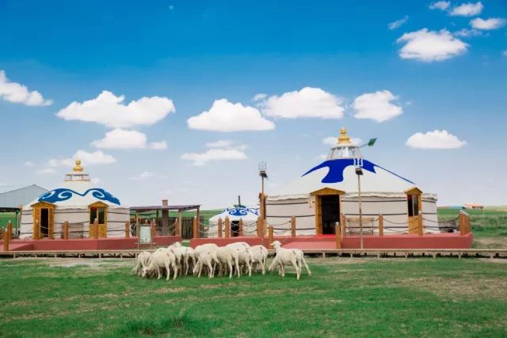 希拉穆仁草原一日游乌兰塔拉开心牧场纯玩口碑好网红打卡地