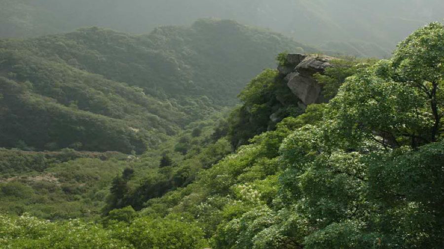 藤龙山风景区