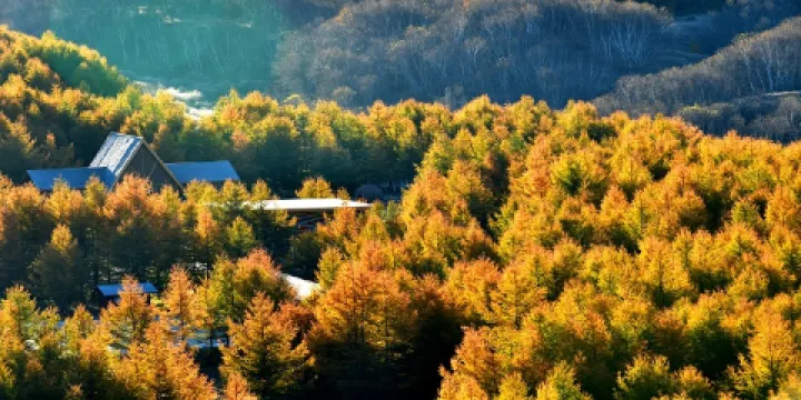 神仙谷七彩森林國際旅遊度假區