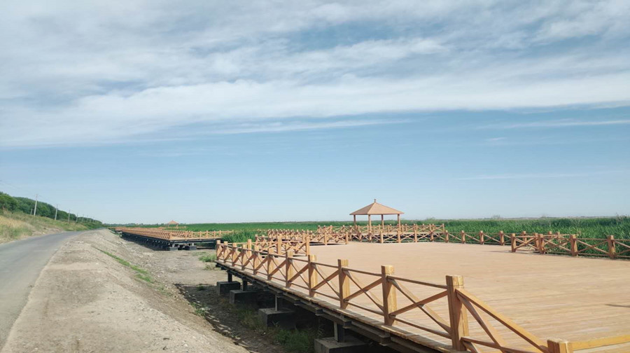 2-Day Shache Tour: Explore Shache's historical relics, desert and wetland landscapes