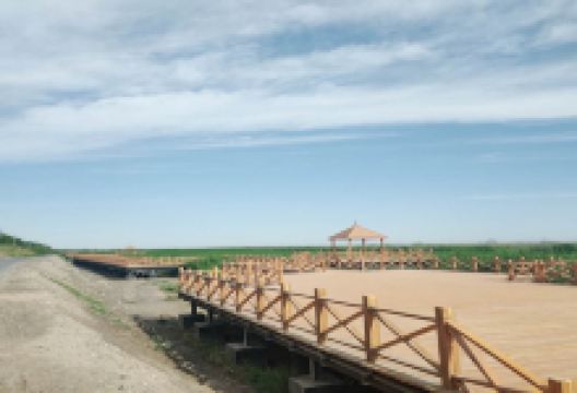 丝绸之路莎车国家湿地公园景点图片