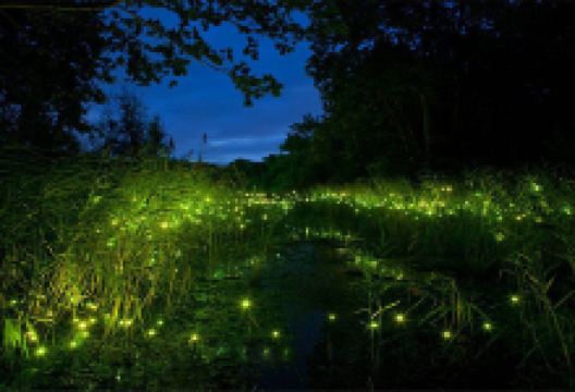 卢氏旅游图片-豫西大峡谷风景区+双龙湾景区二日游