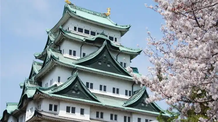 名古屋往返名古屋景点4 6小时9座包车半日券 英语司机 名古屋城 德川园 丰田博物馆 大须万松寺