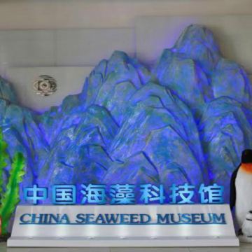 【青岛明月海藻世界研学一日营】海藻科技大揭秘*含研学证书