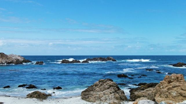 <6天>【2+1定制高端超大空间巴士 | 美西双子星+国家公园】·洛杉矶接送机&两天自由行+旧金山市区游：必打卡17里海湾+圆石滩度假村+优胜美地国家公园+金门大桥+九曲花街+渔人码头+可升级旧金山深度游（指定团期&天数免费升级陆地头等舱）