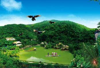 原始森林公园+野象谷一日游【晚出发+6人小团+市区酒店接送】【6人小团，深度省心游，不打卡不走马观花，让旅行加倍温度；】