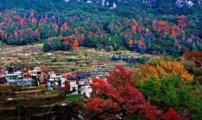 千峡湖生态旅游度假区-青田