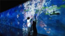 EPSON teamLab 无界美术馆-上海