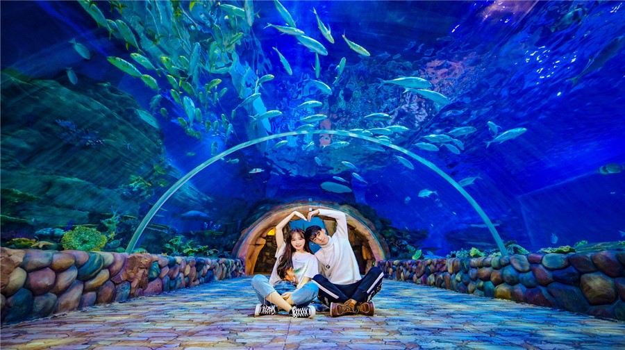 华夏文旅海洋公园