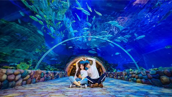 華夏文旅海洋公園