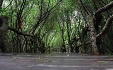富力红树湾湿地公园-澄迈-C-IMAGE