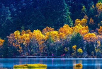 云南香格里拉虎跳峡+普达措国家公园一日游【优选纯玩商务小团】【保证安全，不用电车。正规舒适商务车保证小团、一人一正座，当地地道师傅提供专业服务】