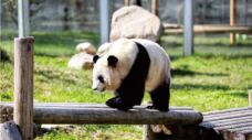 秦岭野生动物园-西安