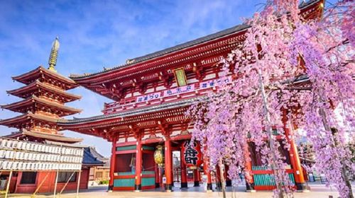 6 13人精致小团 日本东京浅草寺 台场 东京塔一日游 市区游皇居 筑地 6 13人精致小团 日本东京浅草寺 台场 东京塔一日游 市区游皇居 筑地