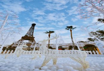 深圳一日游【纯玩无自费】珠海可上门接送+深圳/广州集合点出发【[珠海出发上门接送]出行省心，放心，安心.全程无忧无虑，中英街快速通关免排队。】