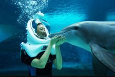 海哺栖息地-新加坡