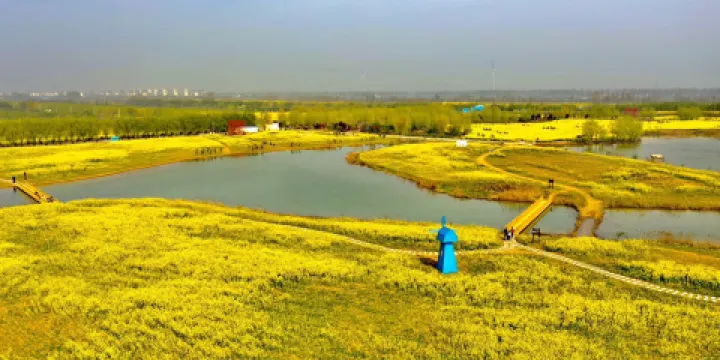 陳橋宋源湖濕地公園