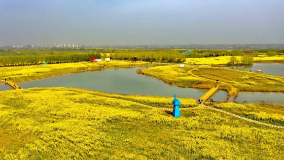 陳橋宋源湖濕地公園