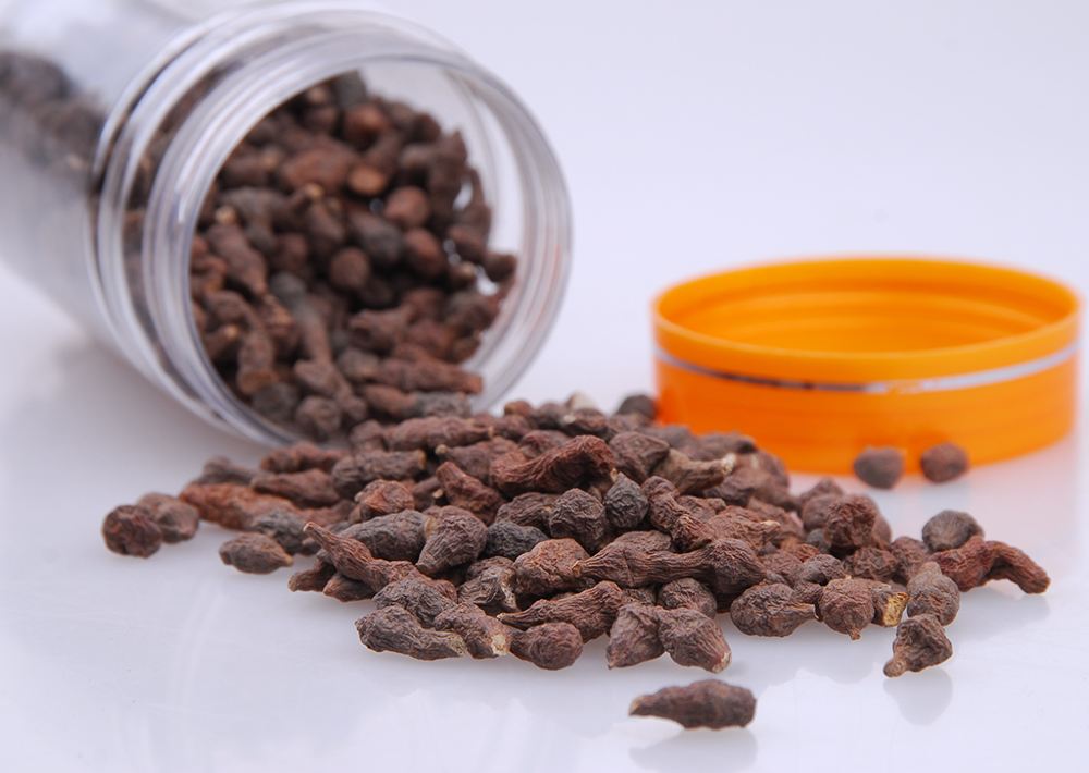 敦煌大漠春厥麻二级西北特产润肠养身佳品300g袋