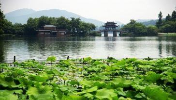 杭州西湖游船路线推荐 350v060000001pn0i083E_C_364_206.jpg