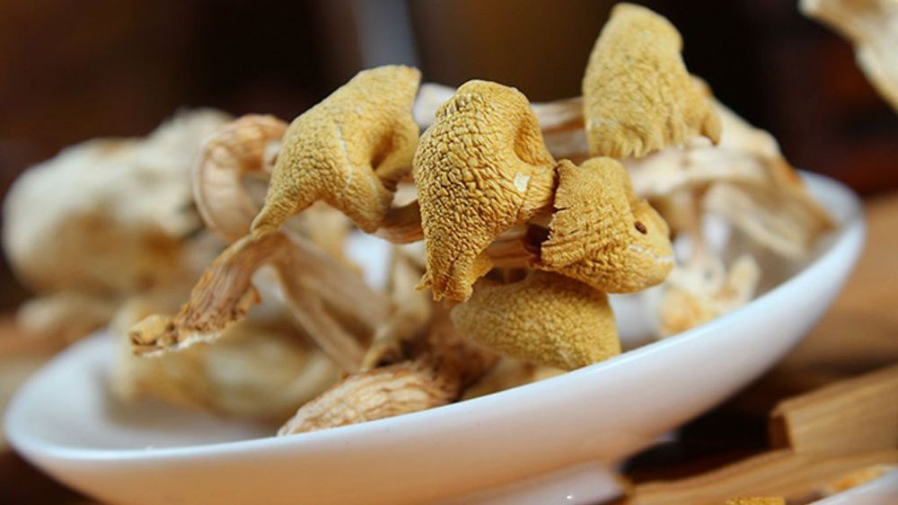 【严选精品 东北原产】东北特产榆黄蘑150g(包邮)