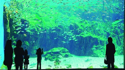 长崎县佐世保市九十九岛水族馆 九十九岛一日游 游览船体验自由行福冈特急列车往返 无领队 线路推荐 携程玩乐