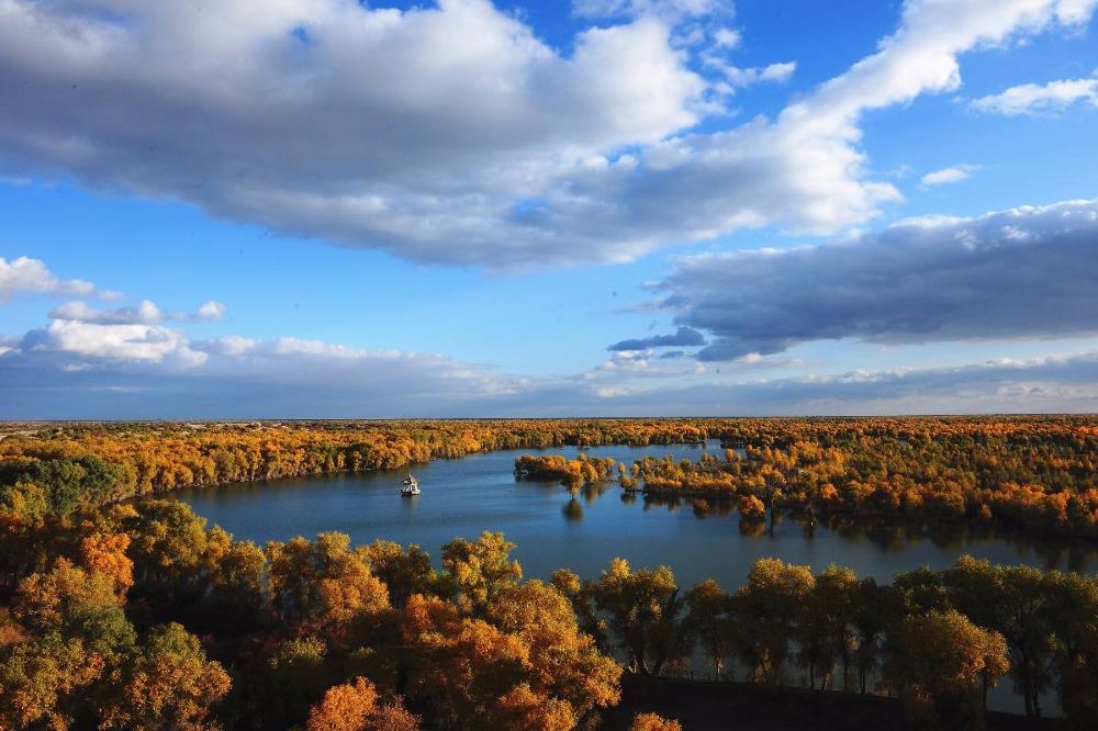 轮台塔里木胡杨林公园 沙漠公路一日游【纯玩无购物 天天发团 专线