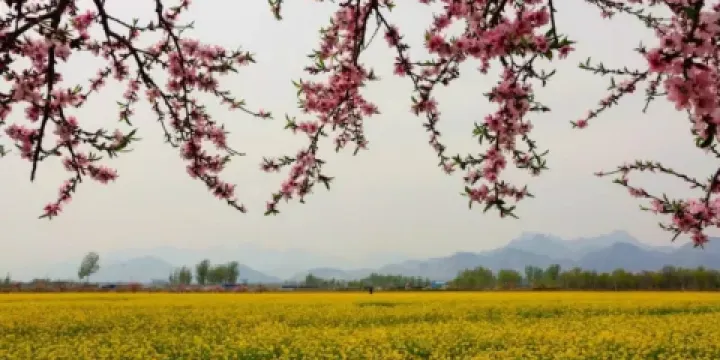 狼牙山田園花海