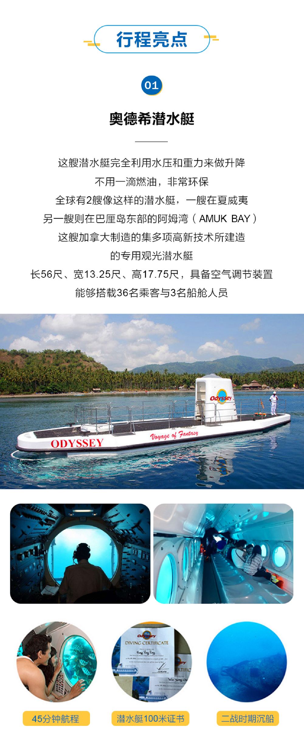 巴厘岛一日游珊瑚岛东海岸潜水艇浮潜海底漫步亲子游海钓酒店接送