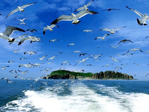 海驴岛