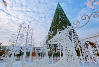 深圳一日游【佛山、珠海包车游上门接送+纯玩】私家团【[私家团]一单一团，上门接送，出行省心，放心，安心.全程无忧无虑，中英街快速通关免排队。】