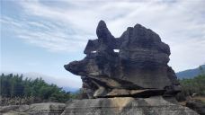 西部竹石林景区-长宁