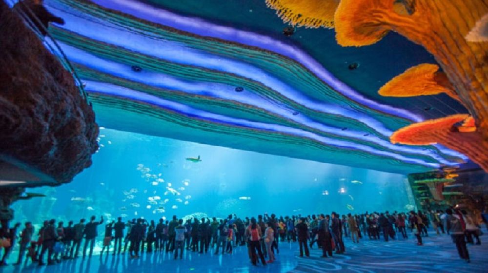 【携程旅行】-【景区往返】广州东站到珠海长