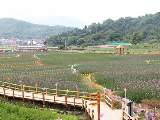 筋竹涧农业观光园