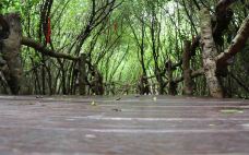 富力红树湾湿地公园-澄迈-C-IMAGE