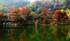 野趣沟-河源-C-IMAGE