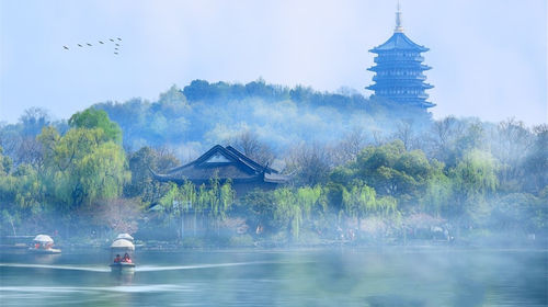 杭州西湖十景+龙井问茶+九溪烟树+雷峰塔一日