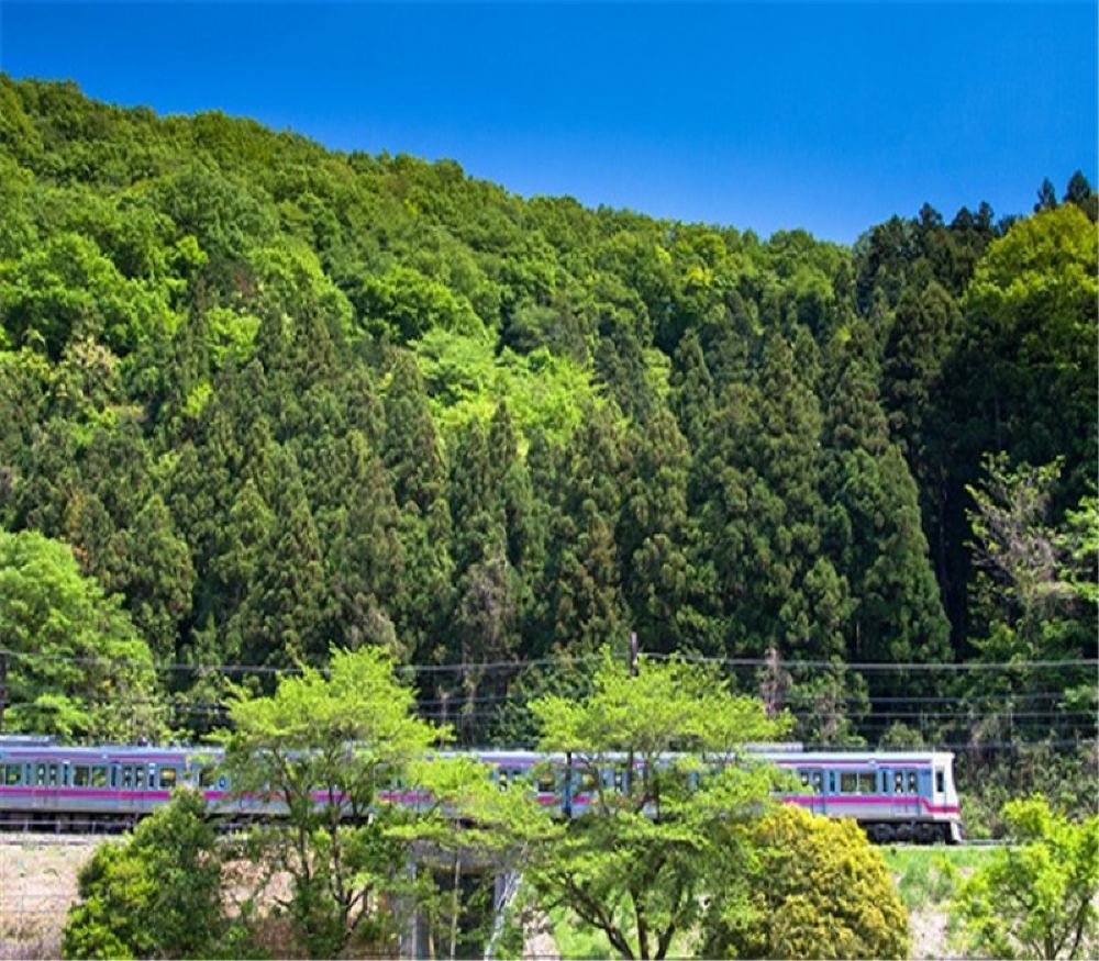 东京高尾山 猴园 野草园自助自由行一日游 东京往返 交通套票 无领队同行 线路推荐 携程玩乐